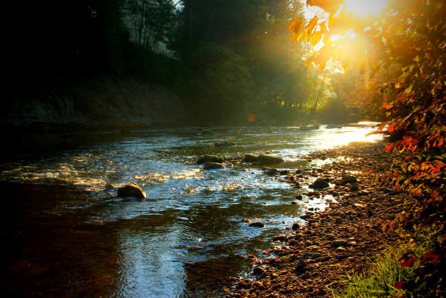 Обои картинки фото германия, амтцелль, природа, реки, озера, лес, река, закат, осень