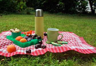 Картинка еда фрукты +ягоды термос вафли вишни ягоды салфетка чашка сливы персики луг пикник