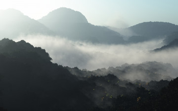 Картинка 3д+графика природа+ nature туман лес горы