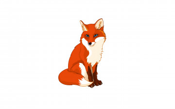 обоя рисованное, животные,  лисы, белый, фон, лиса, fox