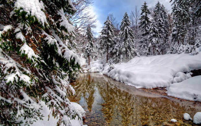 Обои картинки фото природа, зима, река, снег, лес