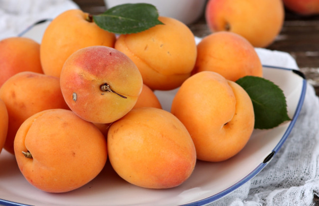 Обои картинки фото еда, персики,  сливы,  абрикосы, абрикосы, фрукты, лето, желтый, аппетитный