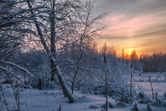 Обои картинки фото природа, зима, закат, лес, снег