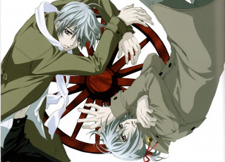 обоя аниме, vampire knight, братья