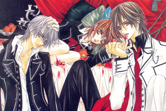 Обои картинки фото аниме, vampire knight, vampire, knight