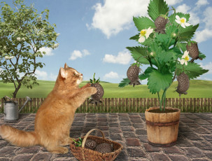 Картинка разное компьютерный+дизайн кошка клубника мыши корзина лейка забор облака