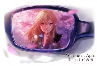 Картинка аниме shigatsu+wa+kimi+no+uso отражение очки