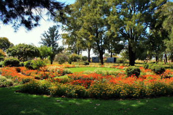Картинка природа парк цветы деревья клумбы