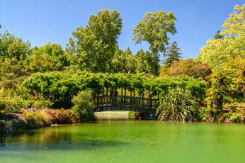 Картинка новая+зеландия природа парк мост деревья водоем