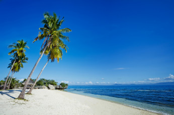 Картинка природа тропики пальмы берег песок облака водоем
