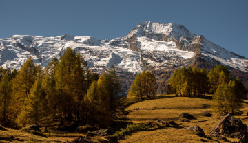 Картинка франция природа горы деревья камни