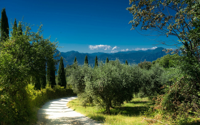 Обои картинки фото италия, природа, дороги, трава, дерево, горы, облака