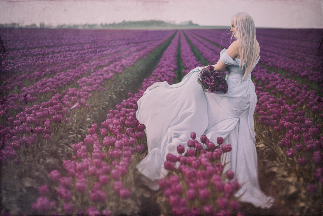 Обои картинки фото девушки, -unsort , блондинки, цветы, наряд, блондинка, девушка, поле