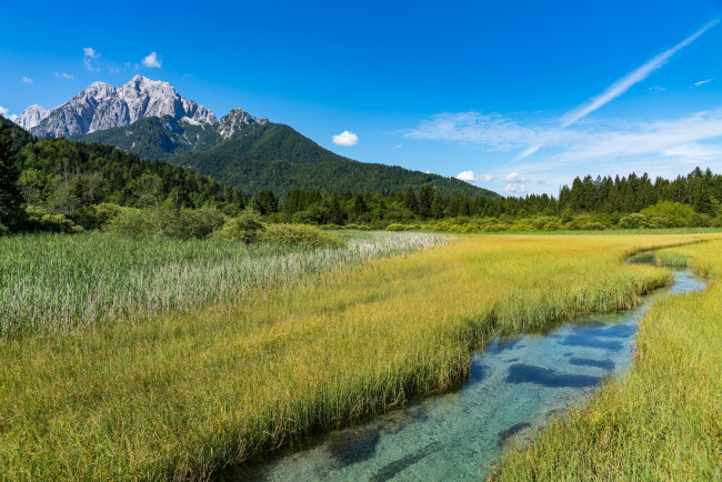 Обои картинки фото природа, реки, озера, kranjska, gora, zelenci, словения