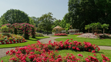 Картинка природа парк клумбы цветы карусель