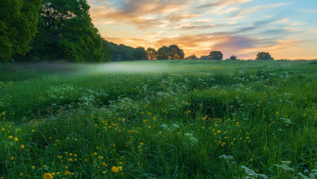 Обои картинки фото rushmere, bedfordshire, uk, природа, луга