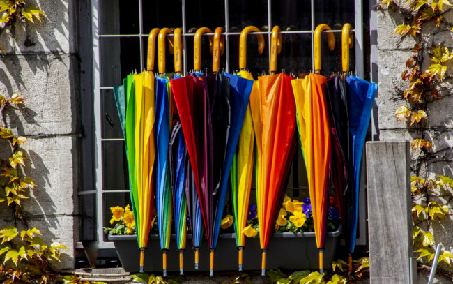 Обои картинки фото разное, сумки,  кошельки,  зонты, разноцветные, зонтики
