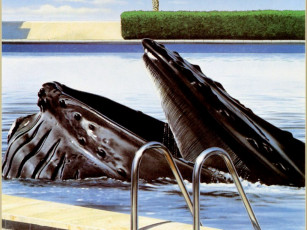 обоя кит, бассейне, рисованные, животные