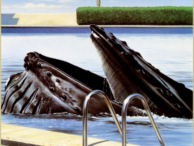 Обои картинки фото кит, бассейне, рисованные, животные
