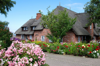 Картинка германия нордорф города здания дома дом цветы