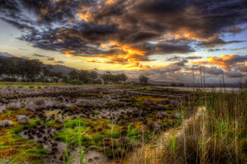 Картинка sunset природа побережье трава скамейка озеро кочки