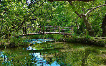 Картинка турция анталия kursunlu park природа парк мостик