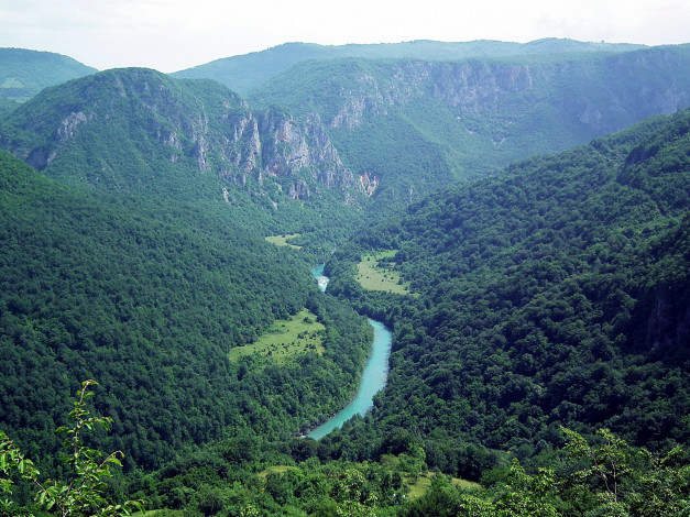Обои картинки фото tara, river, canyon, Черногория, природа, горы