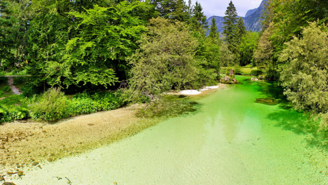 Обои картинки фото savica, river, словения, bohinj, природа, реки, озера, река, лес