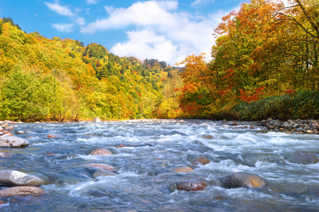Обои картинки фото природа, реки, озера, вода, осень, деревья, течение, камни