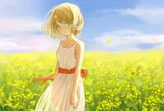 Картинка аниме *unknown+ другое арт цветы желтые платье поле девочка clouble