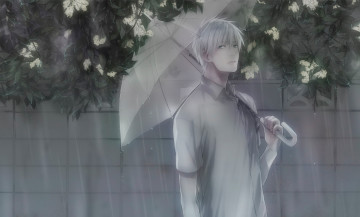 обоя аниме, kuroko no baske, kuroko, no, basket, tetsuya, баскетбол, куроко, парень, дождь, зонт, цветы