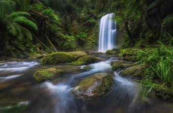 Картинка природа водопады поток мох камни тропики лес