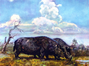 Картинка рисованное животные растения двое облака