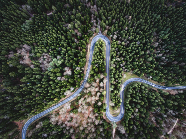 Обои картинки фото природа, дороги, вид, сверху, деревья, лес, дорога