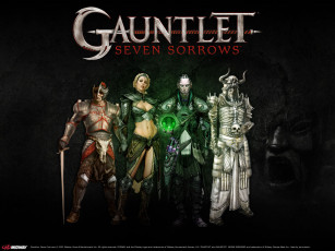 Картинка видео игры gauntlet seven sorrows