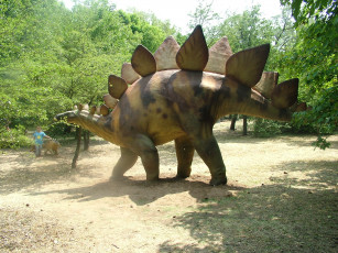 Картинка разное рельефы статуи музейные экспонаты динозавр