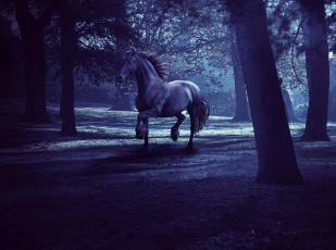 Картинка 3д графика animals животные лошадь ночь темнота сумерки рендеринг деревья лес конь