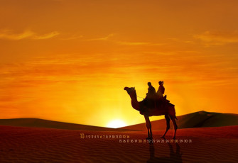 Картинка календари животные пустыня закат верблюды