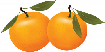 Картинка рисованные еда апельсин