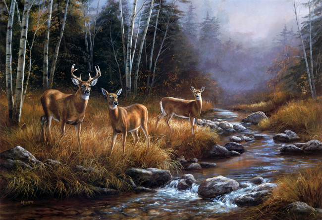 Обои картинки фото october, mist, рисованные, rosemary, millette, туман, ручей, река, лес, олени