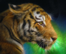 Картинка разное компьютерный дизайн тигр морда