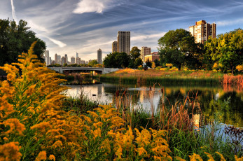 Картинка города Чикаго сша осень