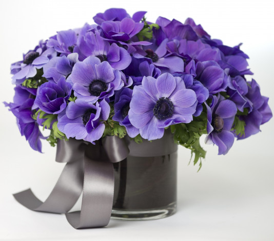 Обои картинки фото цветы, анемоны, адонисы, ваза, букет, лента, синий