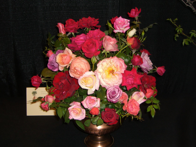 Обои картинки фото цветы, розы, ваза, букет