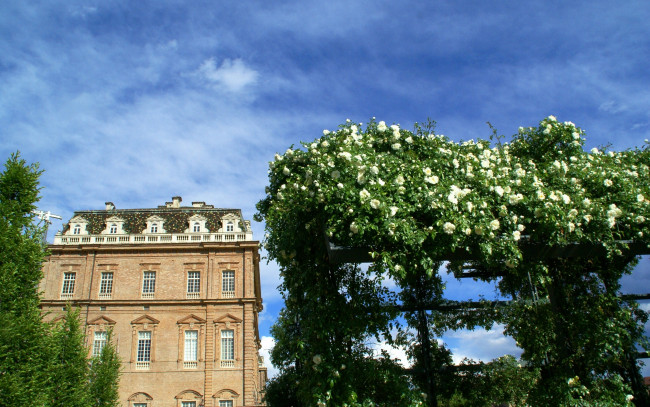 Обои картинки фото venaria, reale, piemonte, italy, города, здания, дома, италия, пьемонт, венария-реале, розы