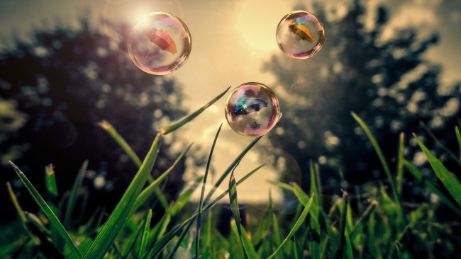Обои картинки фото разное, компьютерный дизайн, grass, bubbles, зонт, трава, природа, пузырьки, umbrella, nature