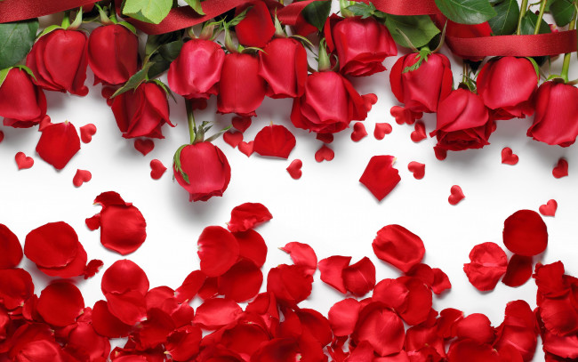 Обои картинки фото цветы, розы, hearts, petals, сердечки, лепестки, love, flowers, roses, red