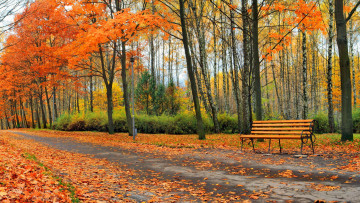 Картинка природа парк осень скамейка