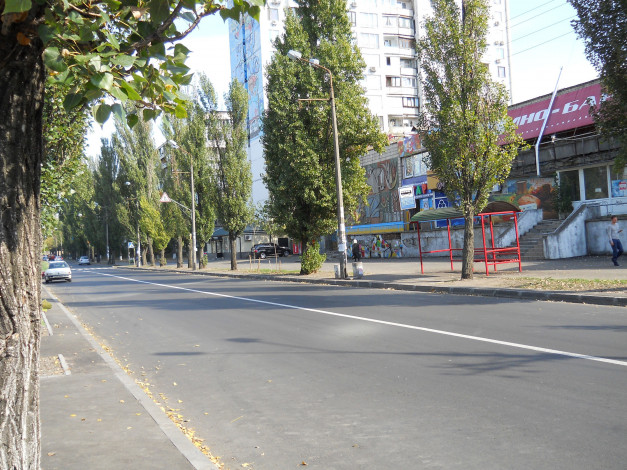 Обои картинки фото улица серафимовича в киеве, города, киев , украина, улица, серафимовича, дорога, киев, осень
