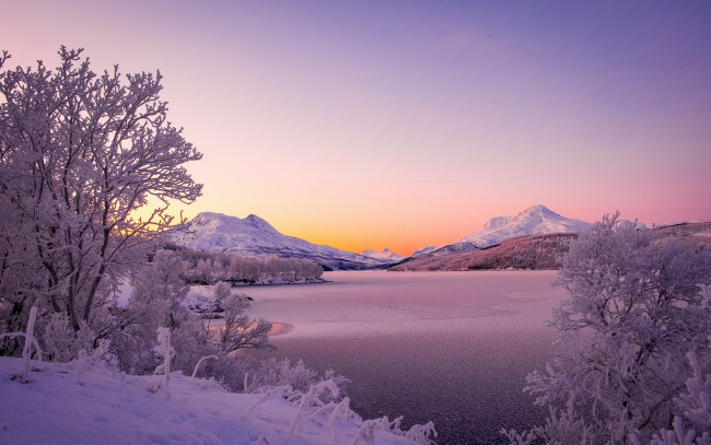 Обои картинки фото природа, зима, озеро, снег, деревья